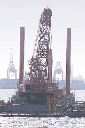 効果的なサイクルハウス選びと設置のポイント|2025年最新ガイド